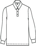 WPE_PoloLS.jpg (3990 bytes)
