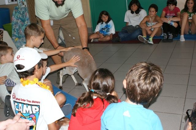 Thursday July 28 Camputos Day 6: Animal show at the camp site