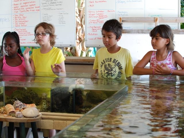 Friday July 29 Camputos Day 7: Dolphin Care Island, Key Largo