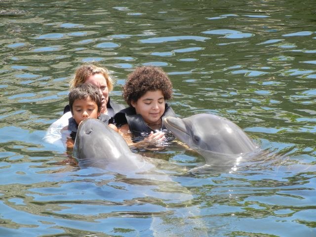 Friday July 29 Camputos Day 7: Dolphin Care Island, Key Largo
