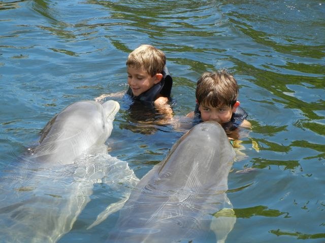 Friday July 29 Camputos Day 7: Dolphin Care Island, Key Largo
