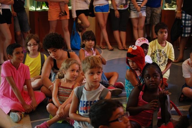 Friday July 29 Camputos Day 7: Dolphin Care Island, Key Largo