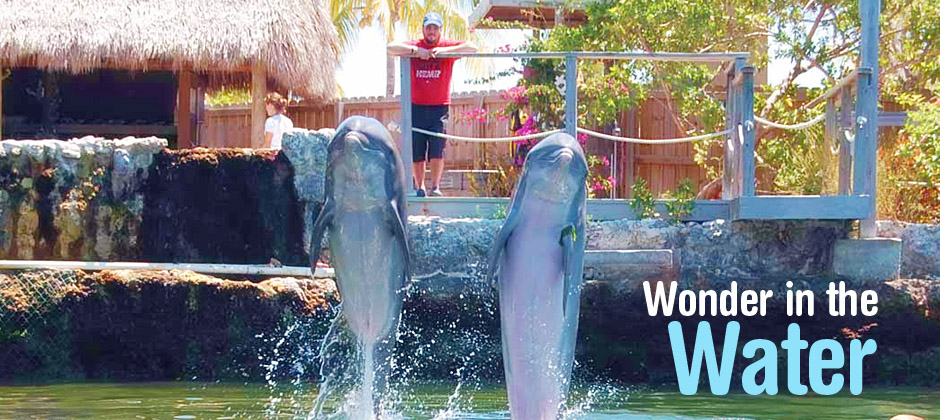 Friday July 29 Camputos Day 7: Dolphin Care Island, Key Largo