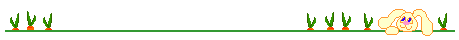 divide line