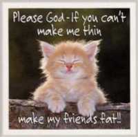 k-thin.jpg (82299 bytes)