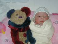 sc2-annette_taylor_bear.jpg