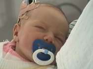 sc2-tcapture06.jpg (3527 bytes)