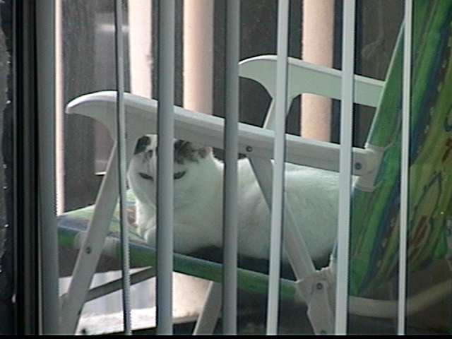 katy-balcony-frame.jpg (28831 bytes)