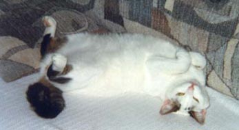 What a life!